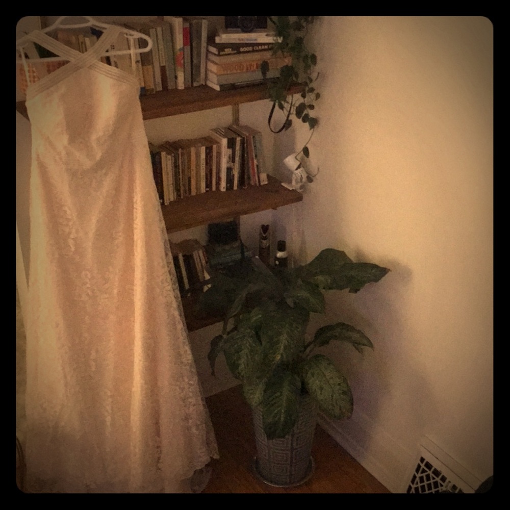 Galina (David’s Bridal) Wedding Dress